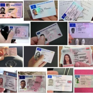 Buy Drivers License