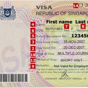 singapore Visas